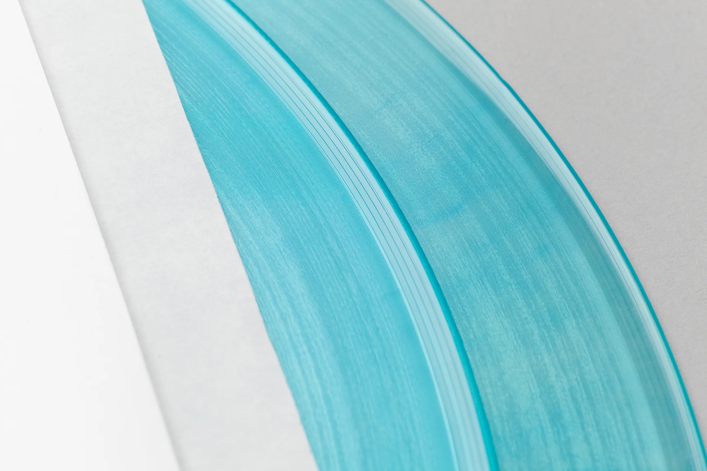ASIP V002 - Europe Vinyl and Sleeve Macro.jpg