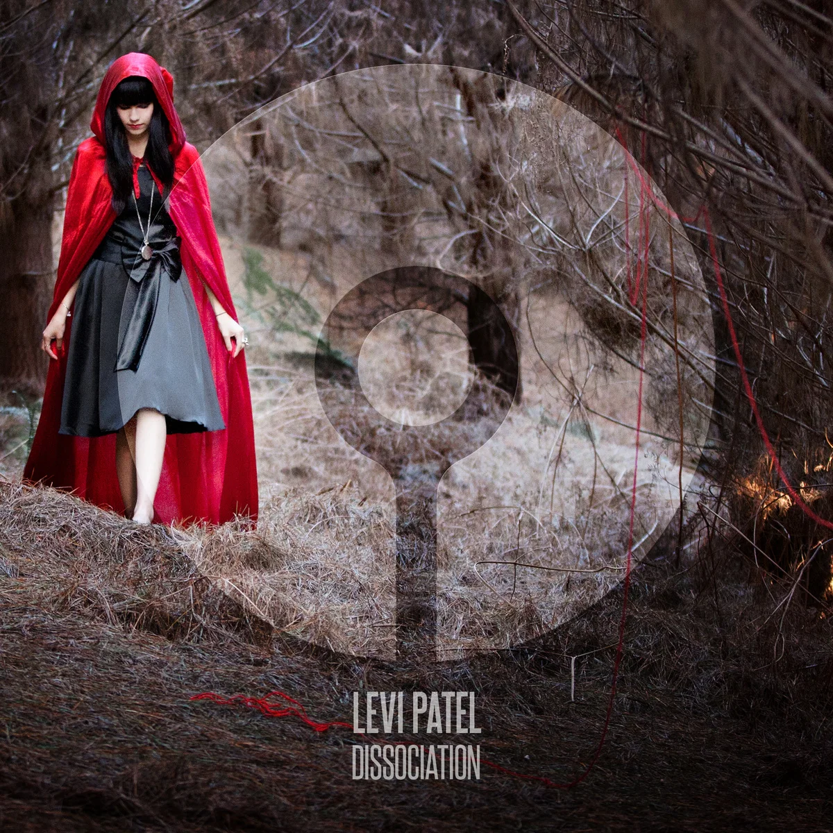 ASIP005 Levi Patel - Dissociation