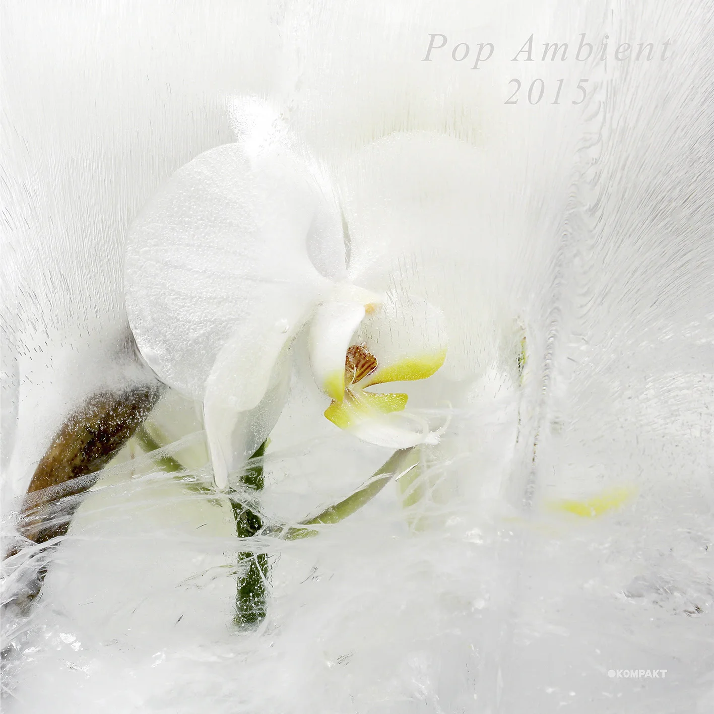 Kompakt - Pop Ambient 2015