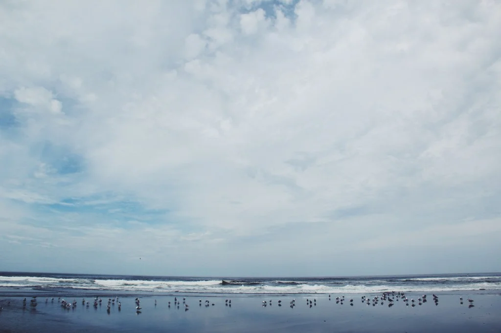 Passing by: Parks & Norge, Sebastian Mulleart, Segue & Lusine
