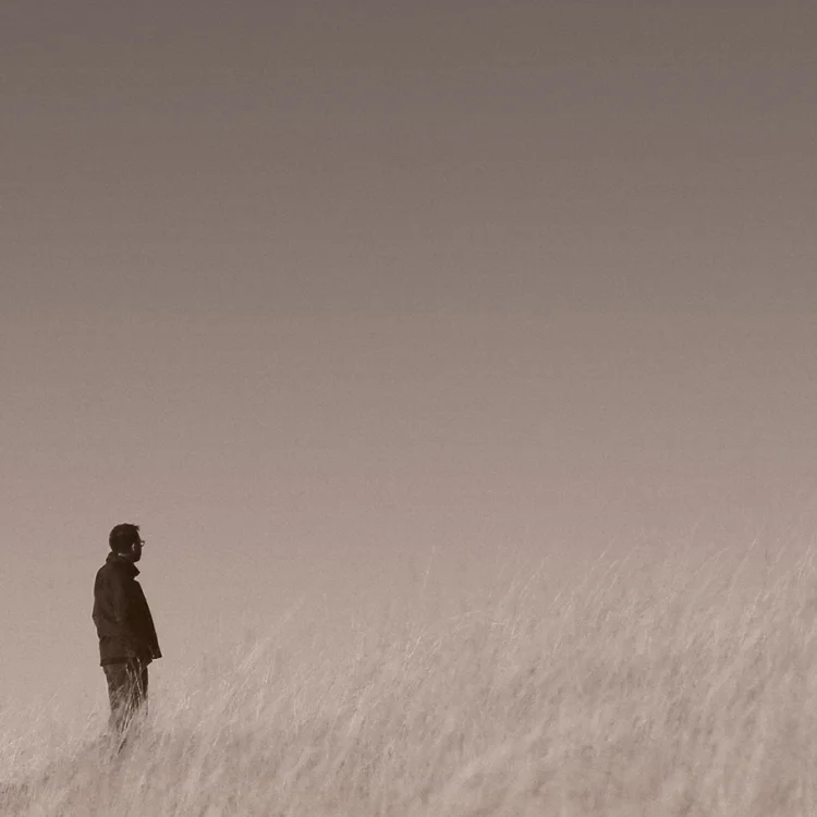 Interview: Iran, influences and the making of Shallow with Porya Hatami