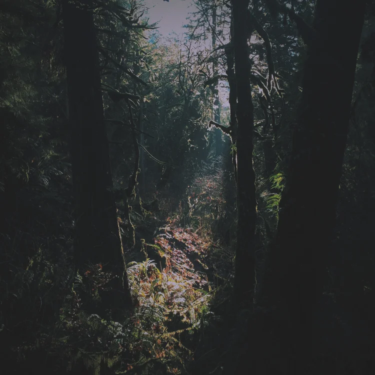 Passing by: Markus Guentner, Odd Shapes, Audioglider, enh, Sonae and Mr Frankie