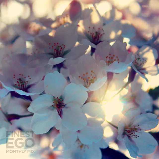 Kiyoko – The Beginning (Mix for Finest Ego)