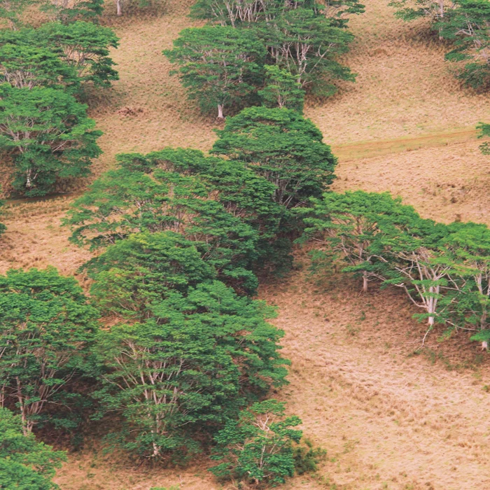 Passing by: Klimt, WNDFRM, Donnacha Costello, Casino Versus Japan