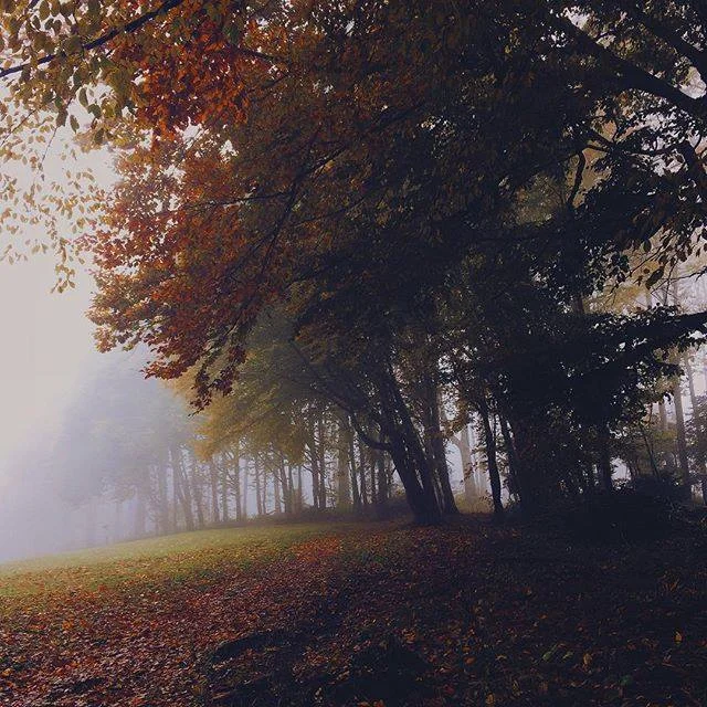 Mr Frankie - Sunday Morning Session (ASIP tribute mix)