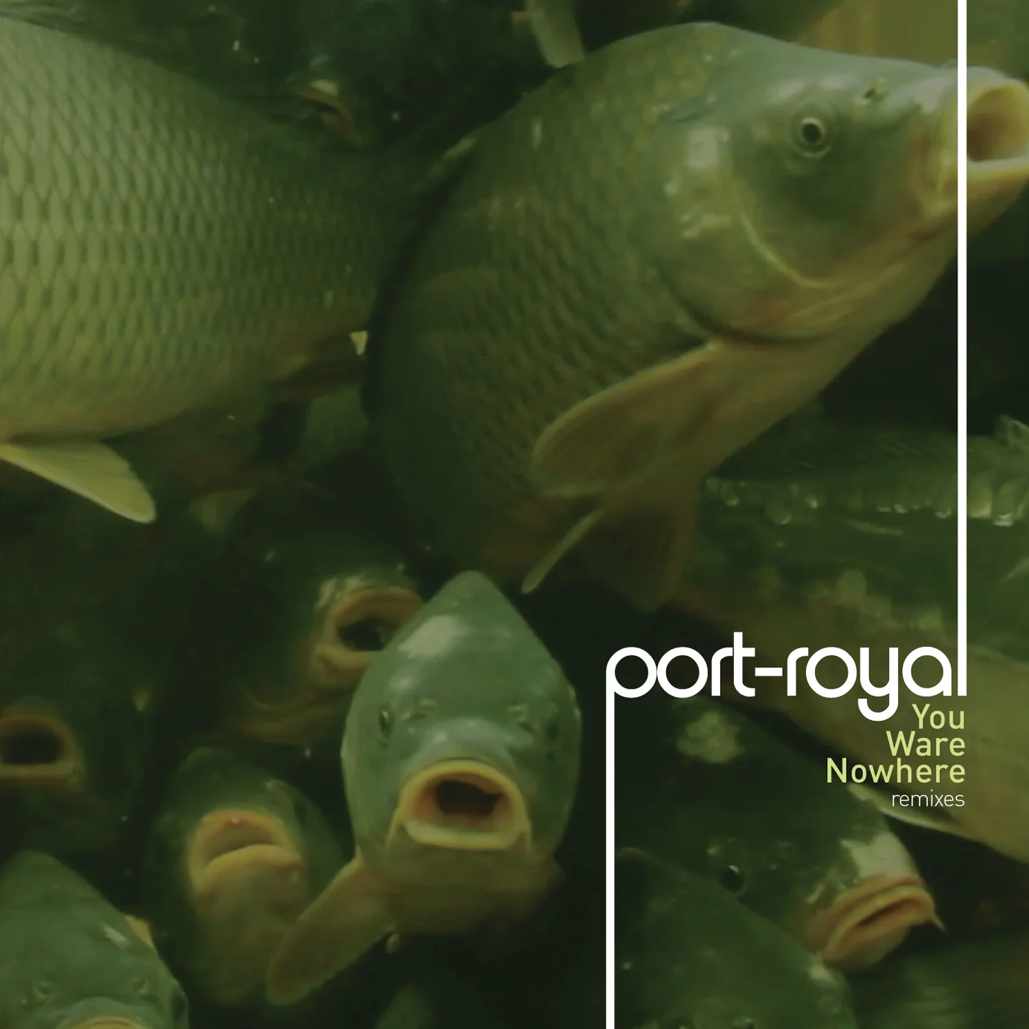 port-royal - You Ware Nowhere (Remixes)
