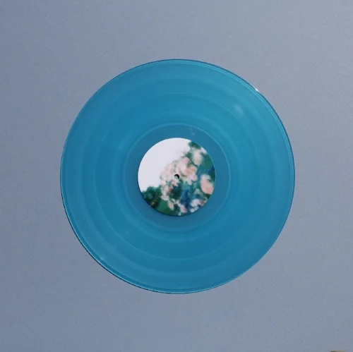 Earth House Hold / Never Forget Us - now available