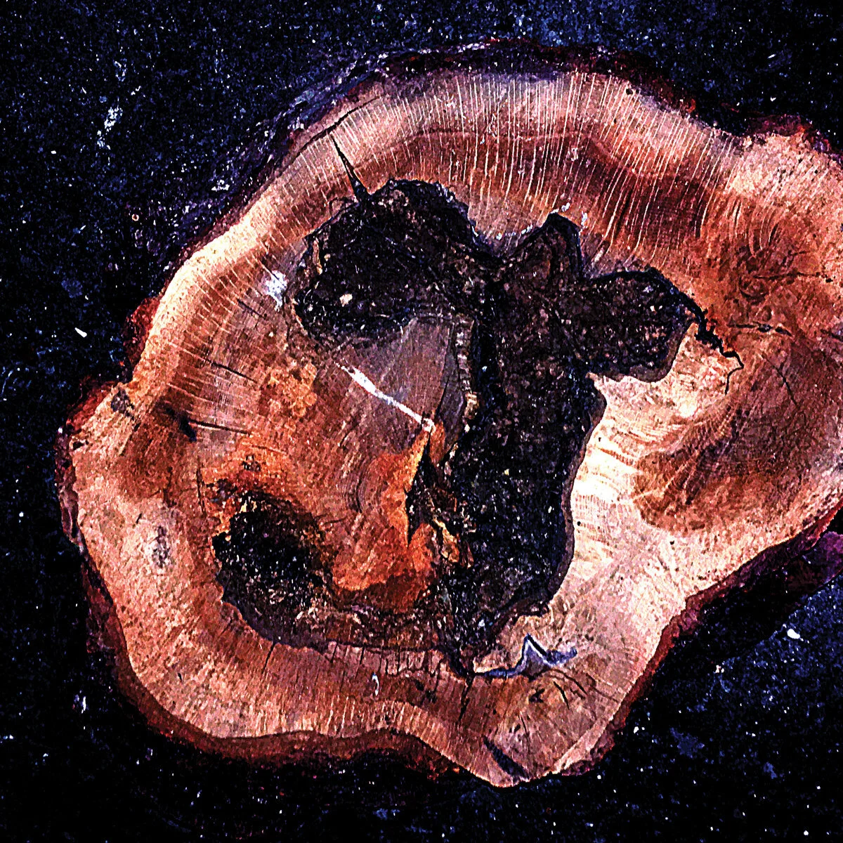 Lukas roels angels of time