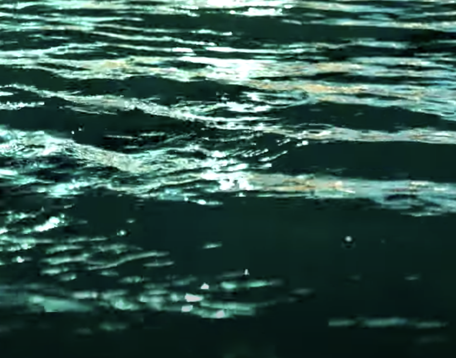 Video: Olga Wojciechowska's 'Images Imprisoned Within You'