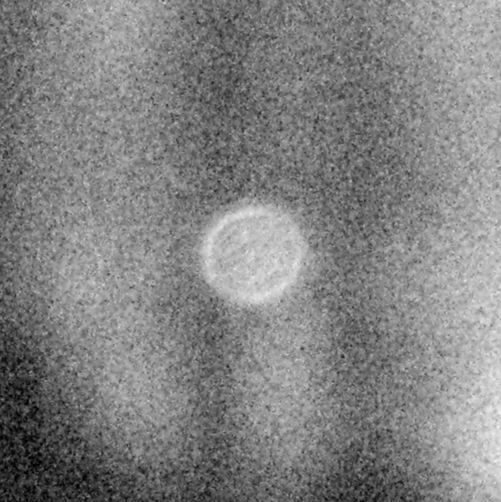 DJ Healer - ins herz der dinge lauschen / die wüste / der traum