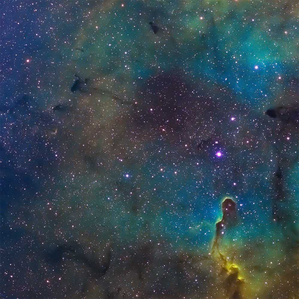 ASIP - Dream The Daydream