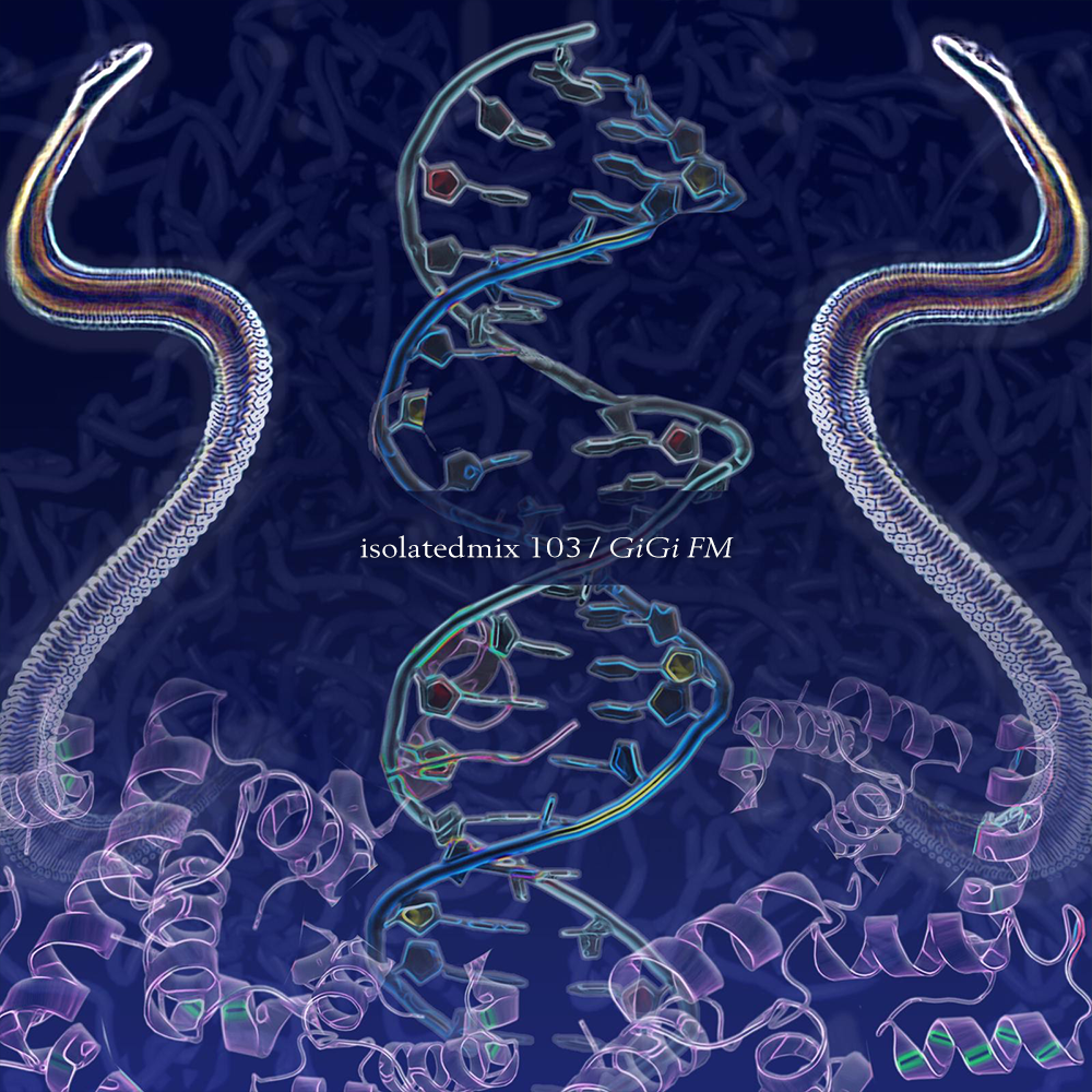 isolatedmix 103 - GiGi FM : Inner Mycelia Voyage (Full Hunter's Moon Ritual) 