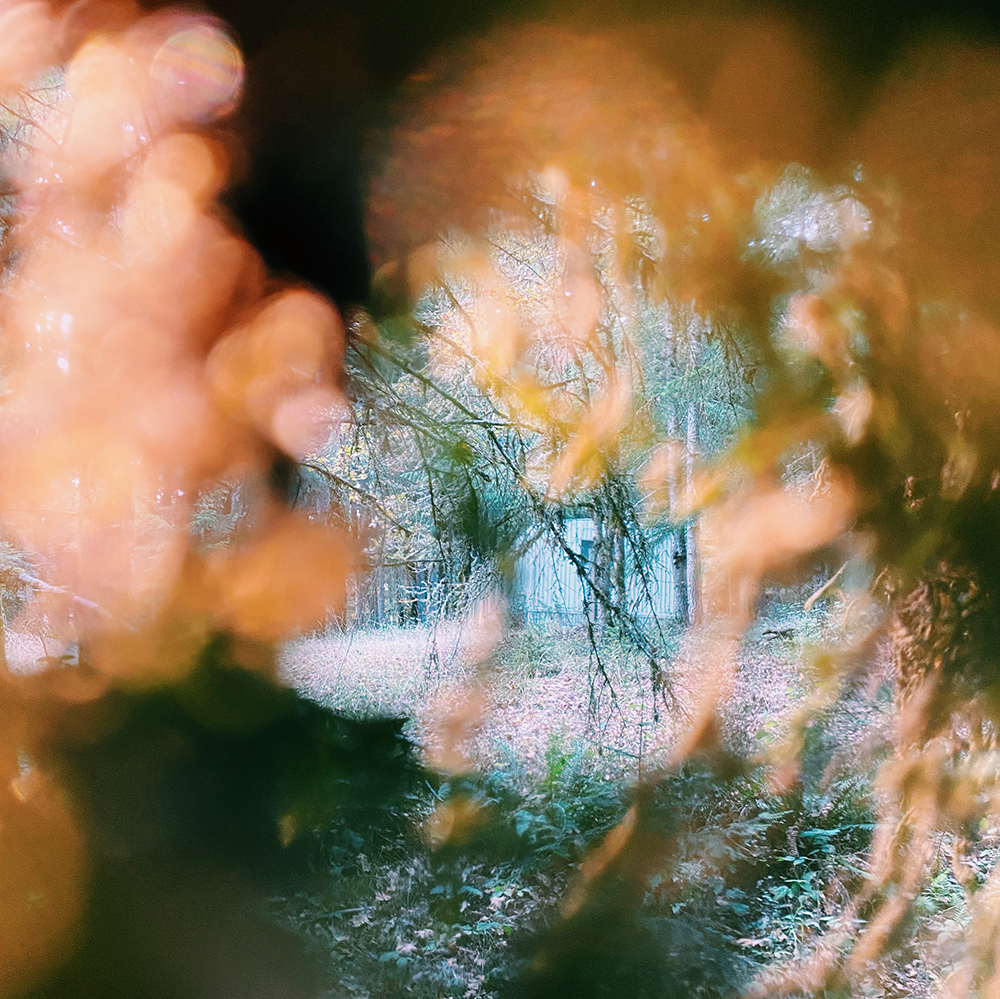 ASIP - Cabin In The Woods