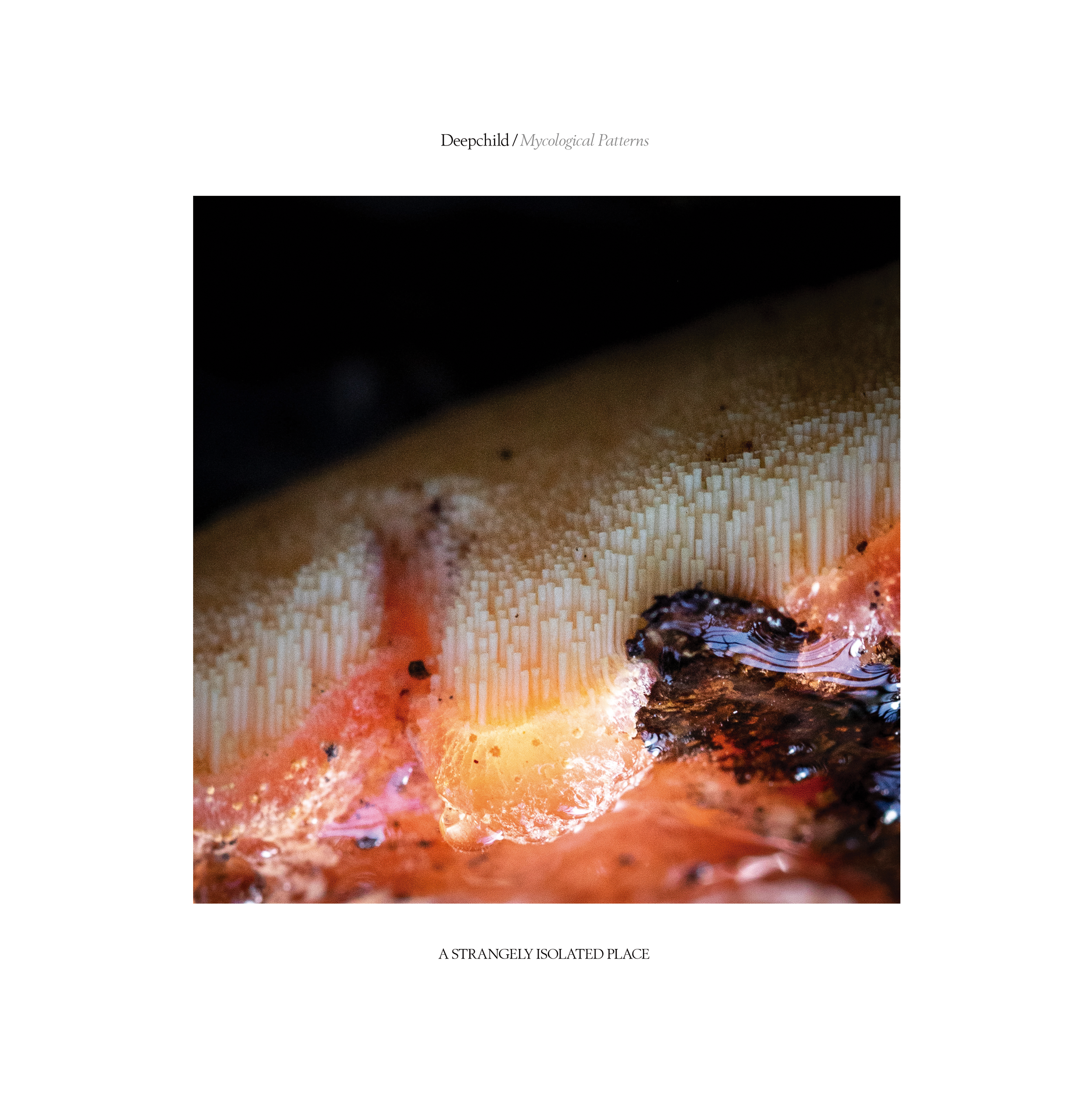 Deepchild / Mycological Patterns (ASIP038)
