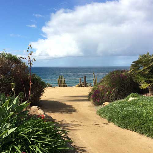 The top of the world at the Self Realization Fellowship gardens