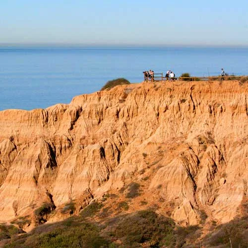 Hike Torrey Pines State Park