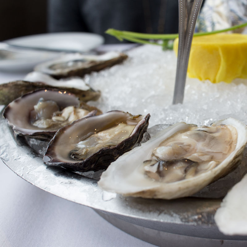 Oysters at Eddie V's La Jolla