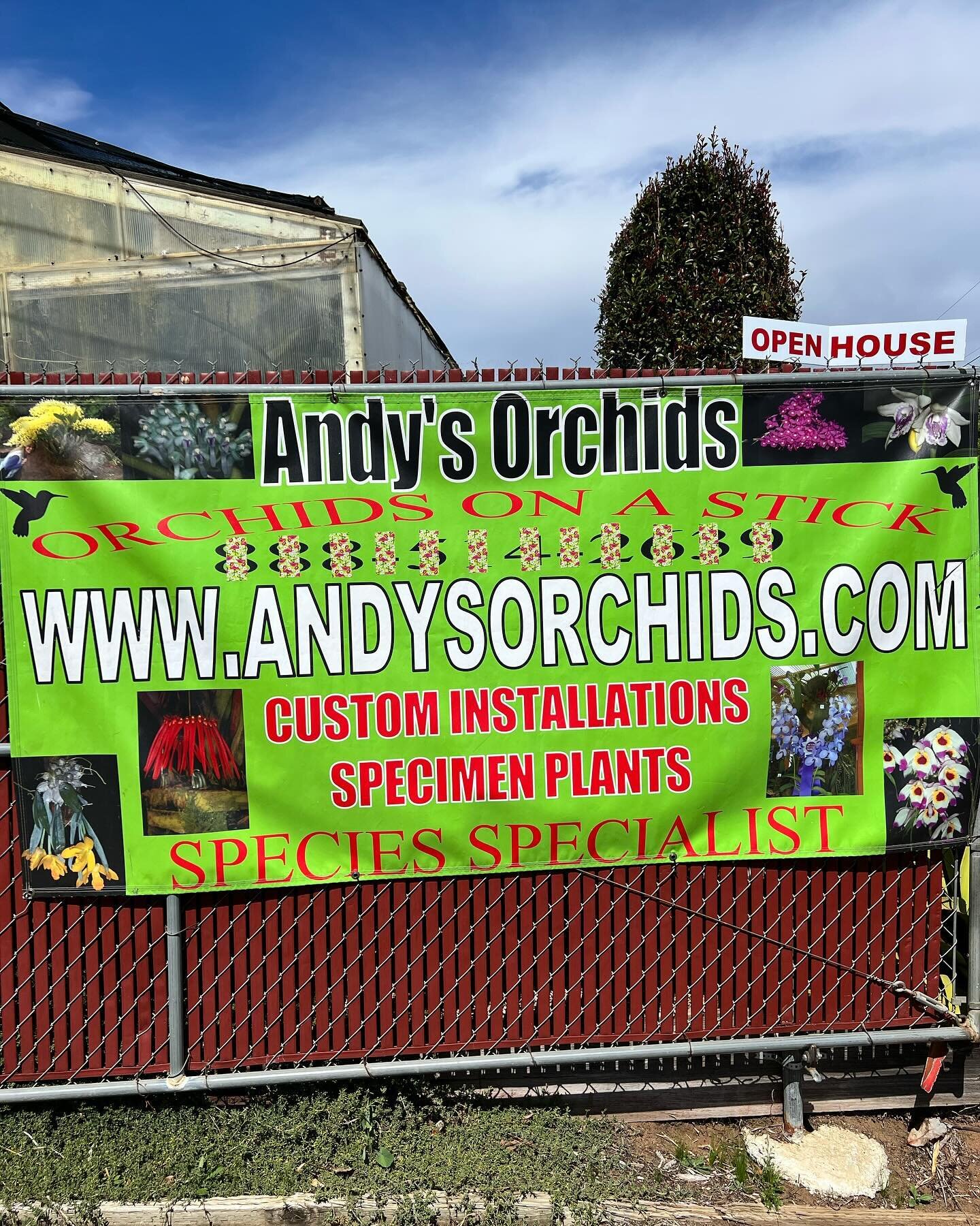 Andy&rsquo;s Orchids normally not open to the public but was this weekend and amazing that something so cool is right in our backyard. @andysorchids @cityofencinitas #sandiego