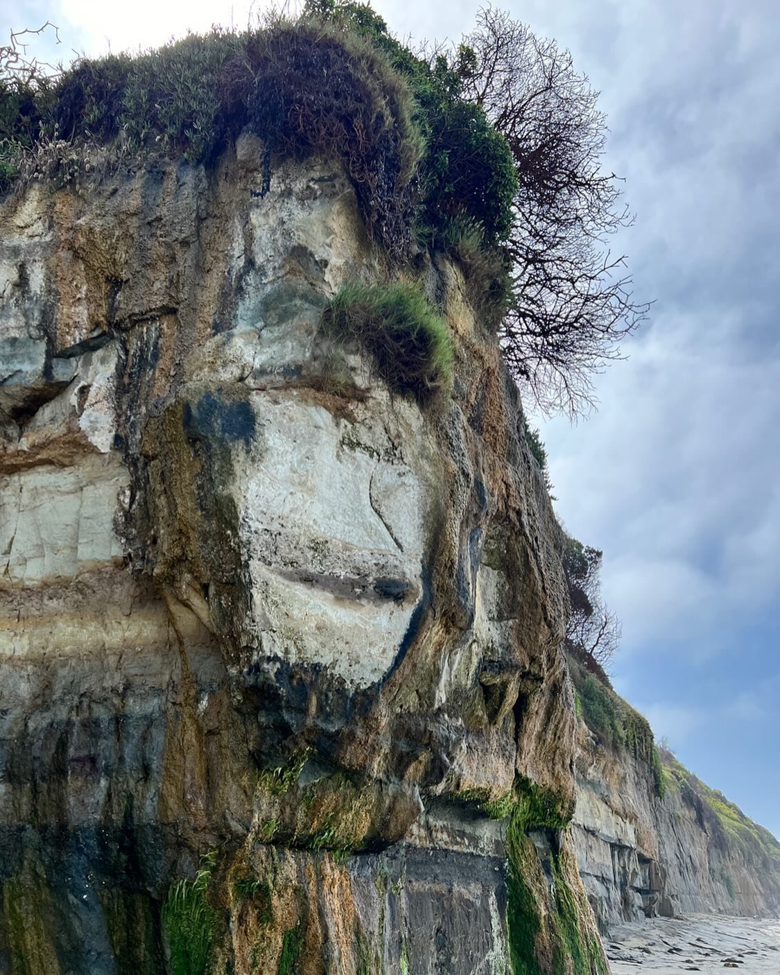 Can you unsee the monkey face in the rock cliff at Moonligjt Beach?