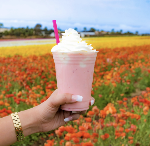 Screenshot 2026-02-23 at 11.15.02 AM.png