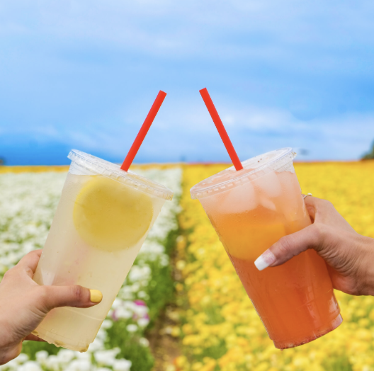 Screenshot 2026-02-23 at 11.15.37 AM.png