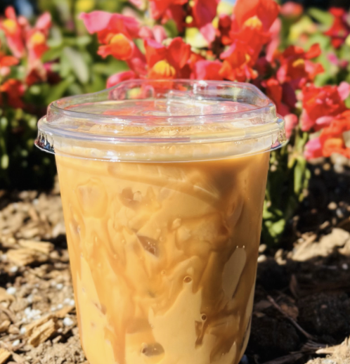 Screenshot 2026-02-23 at 11.15.47 AM.png