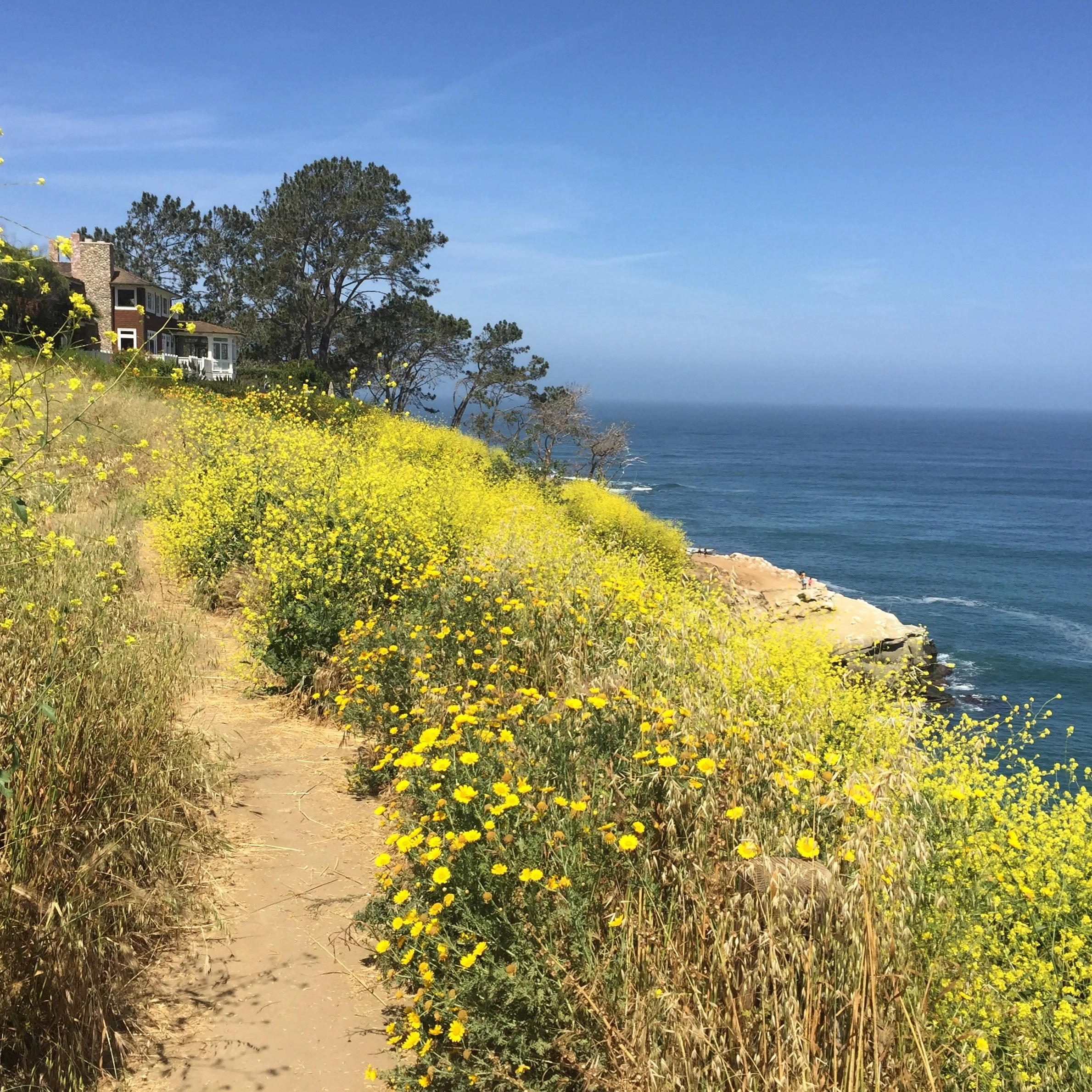 La Jolla Coastal Walkj