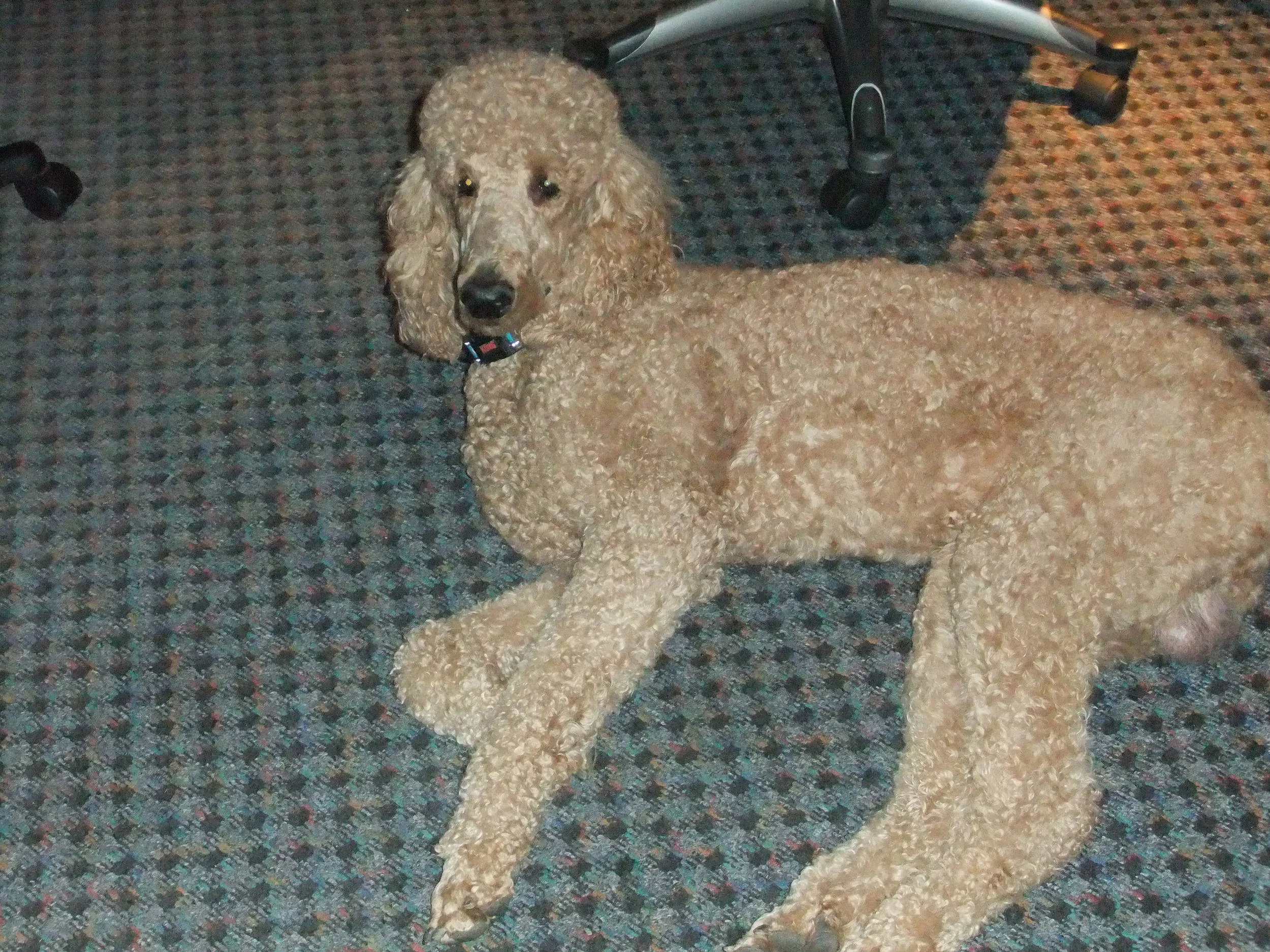 DSCF1233.JPG
