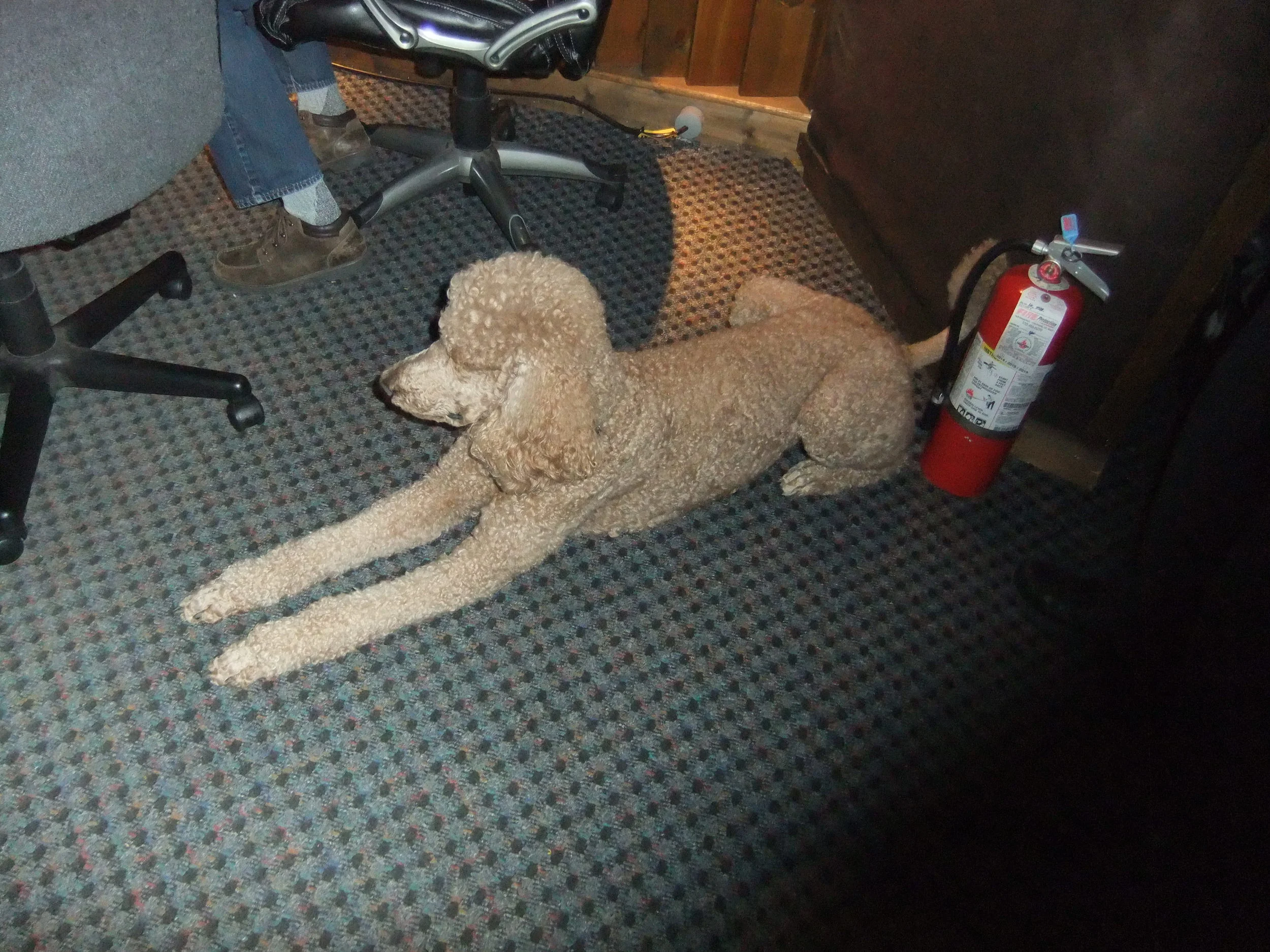 DSCF1241.JPG