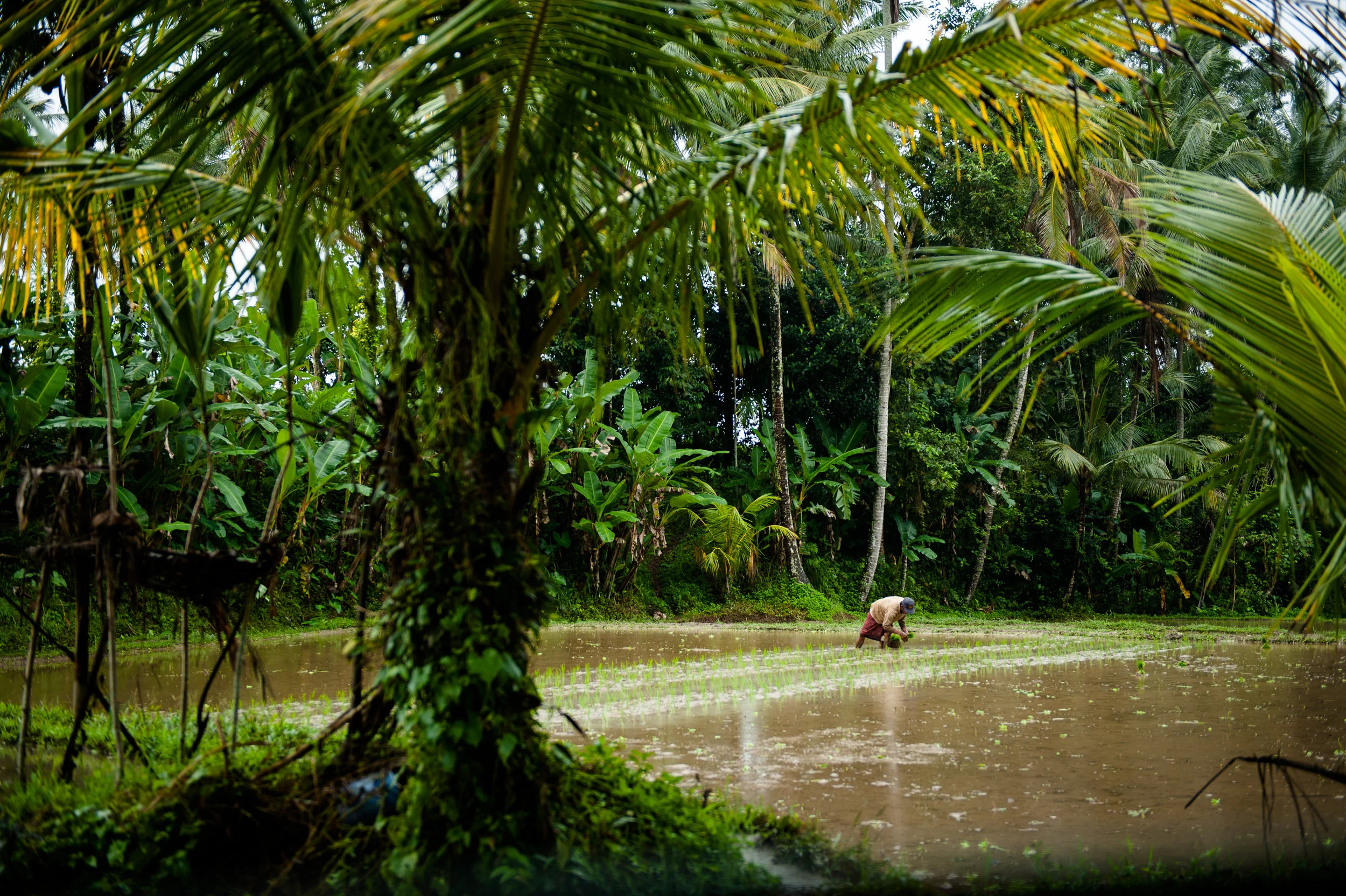 bali-16.jpg