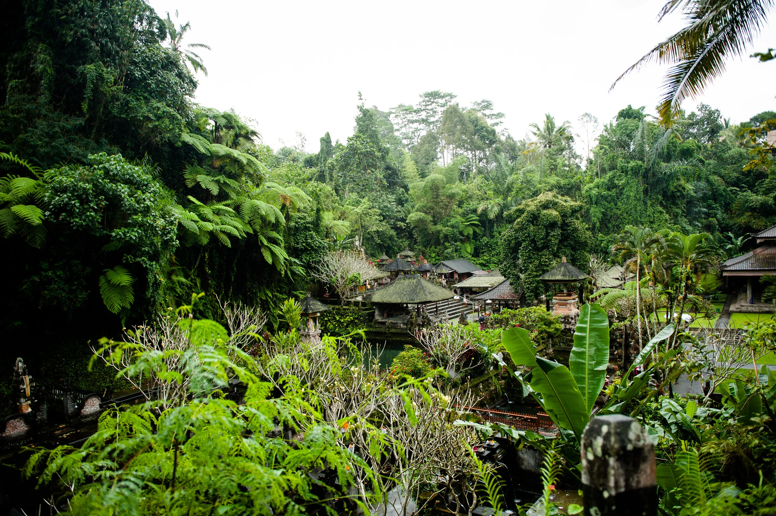 bali-17.jpg