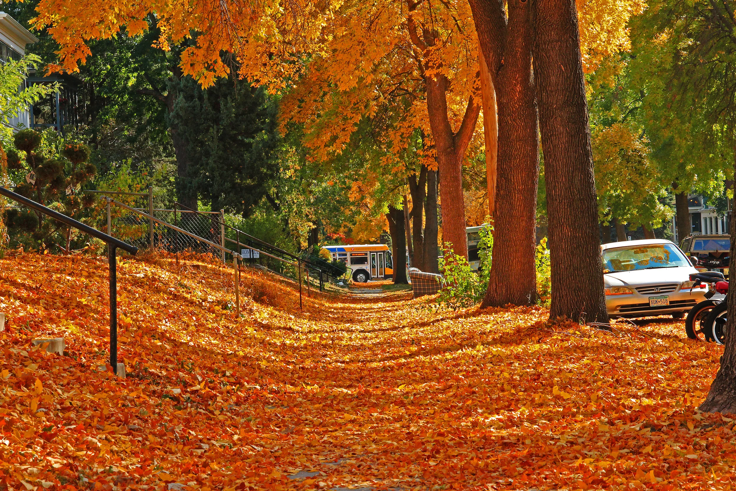 Fall on Pleasant Ave 