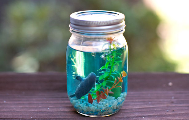 mason jar fish.jpg