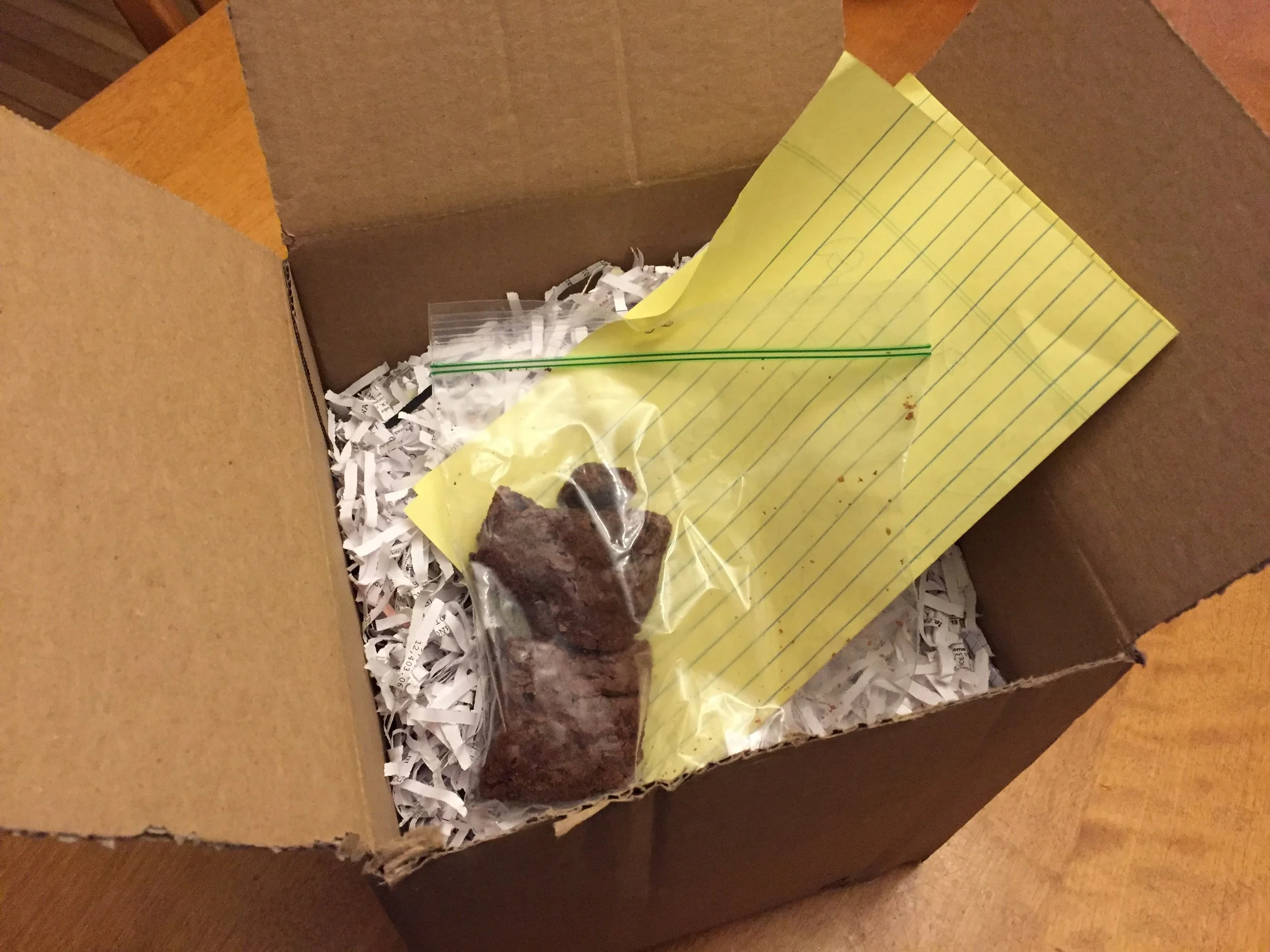 Victory Brownies And The Definition Of Fandom And Friendship