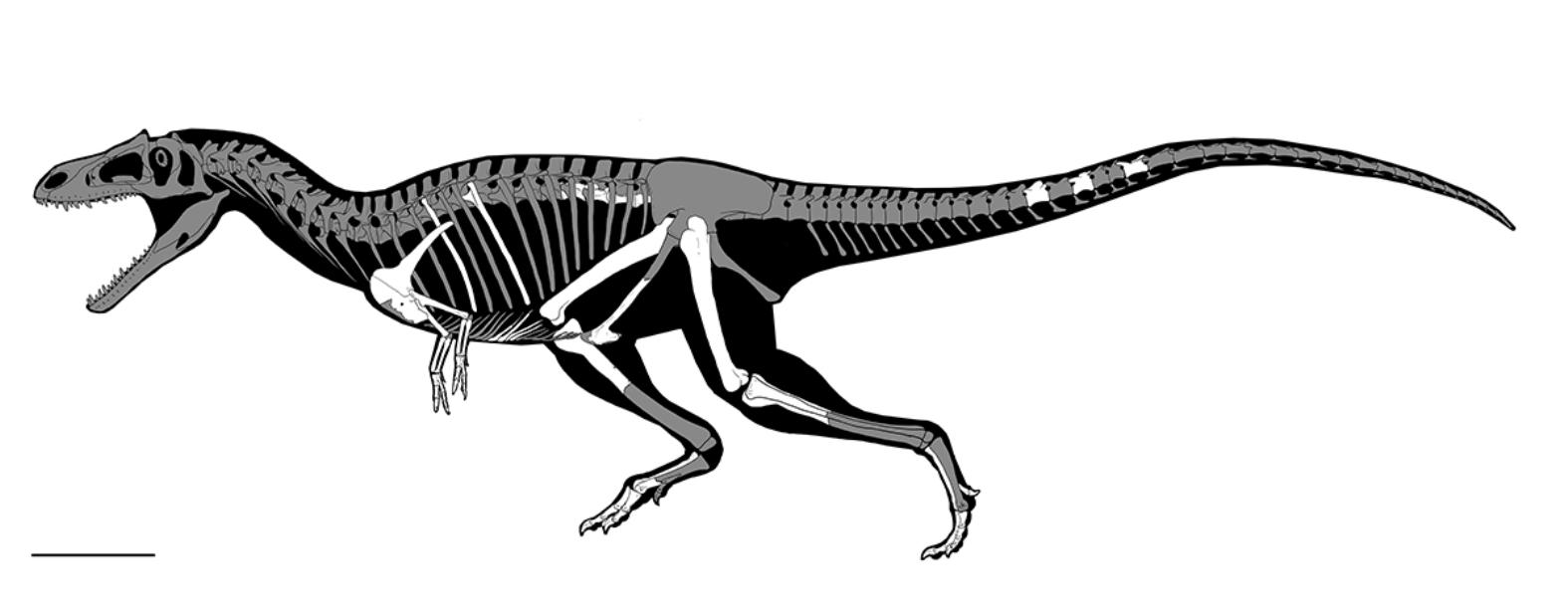 Velociraptor Feed Me and Tell Me I/'m Pretty Dinosaur Funny Apron with Pockets