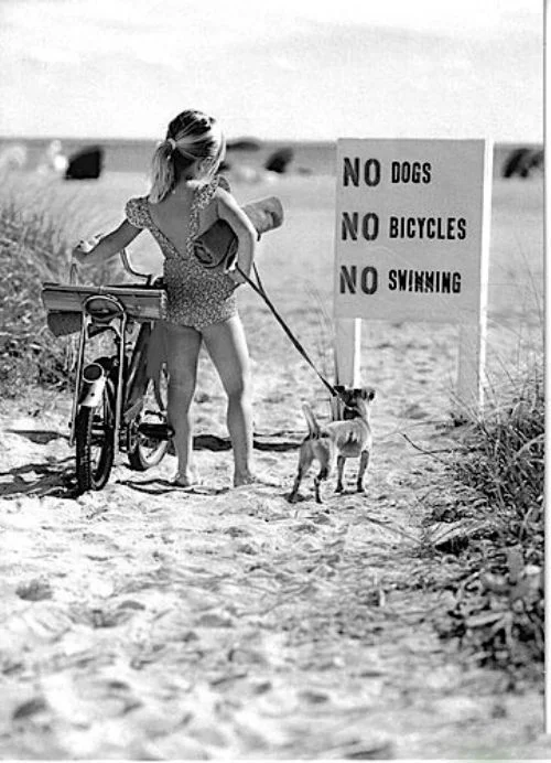 sign 5.jpg