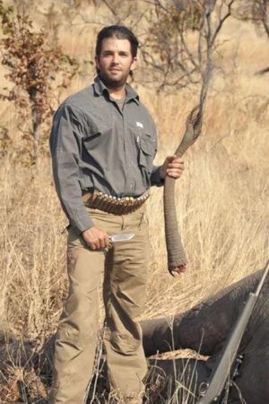donald trump jr elephant.jpg