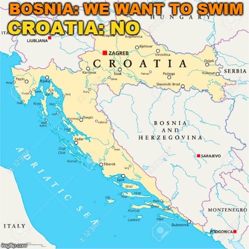 swim.jpg