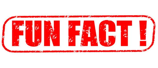 fun fact1.jpg