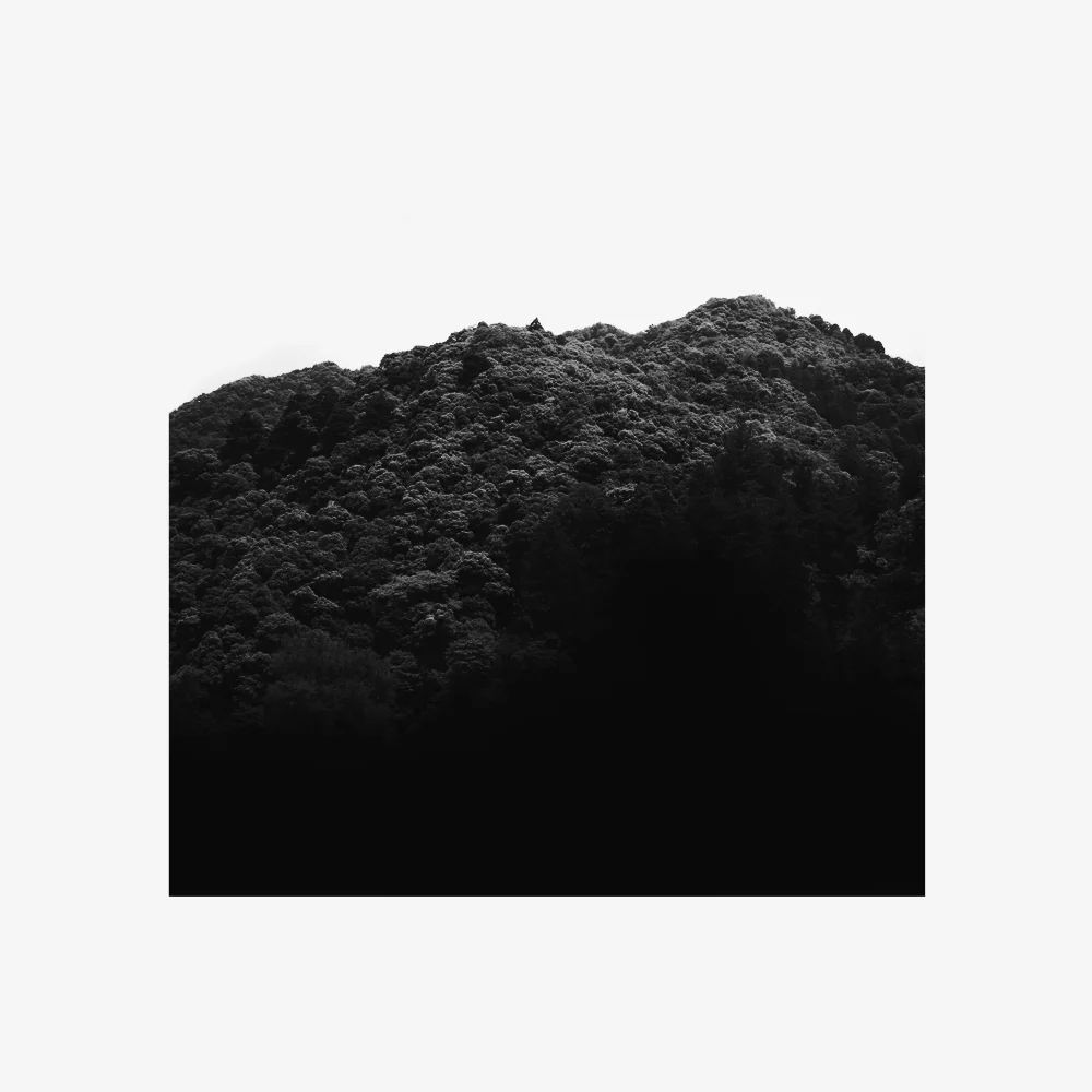 Forest, Black - $200
