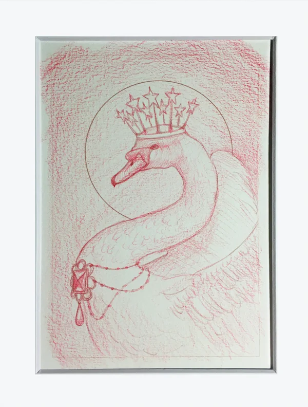 swan drawing pic.jpg