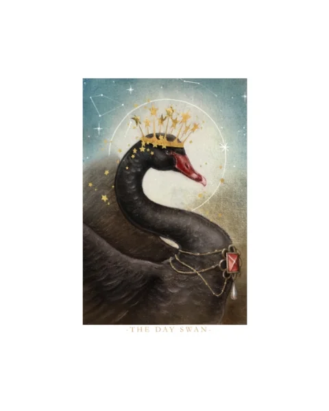 The Day Swan_Print.jpg