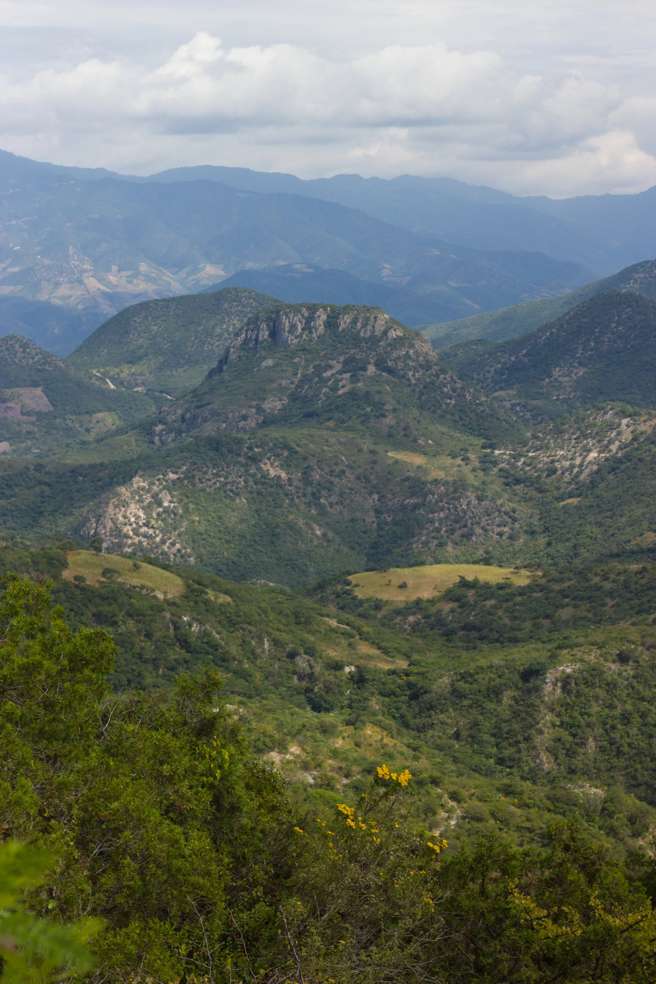 oaxaca mountain landscape by leah pellegrini for thread caravan.jpg