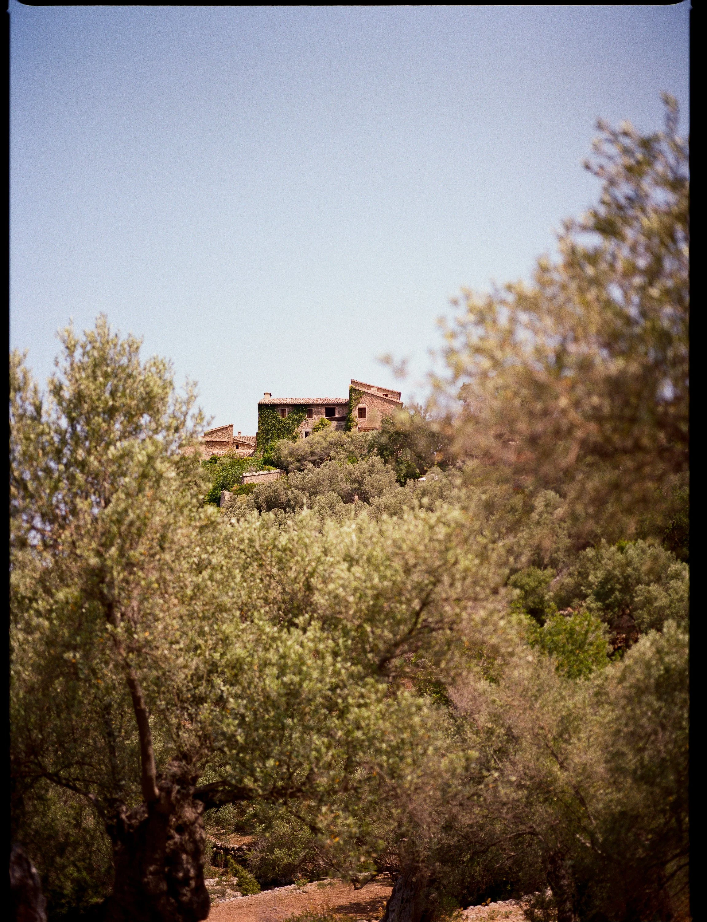 A hilltop house covered in green ivy surrounded by trees with a clear blue sky.