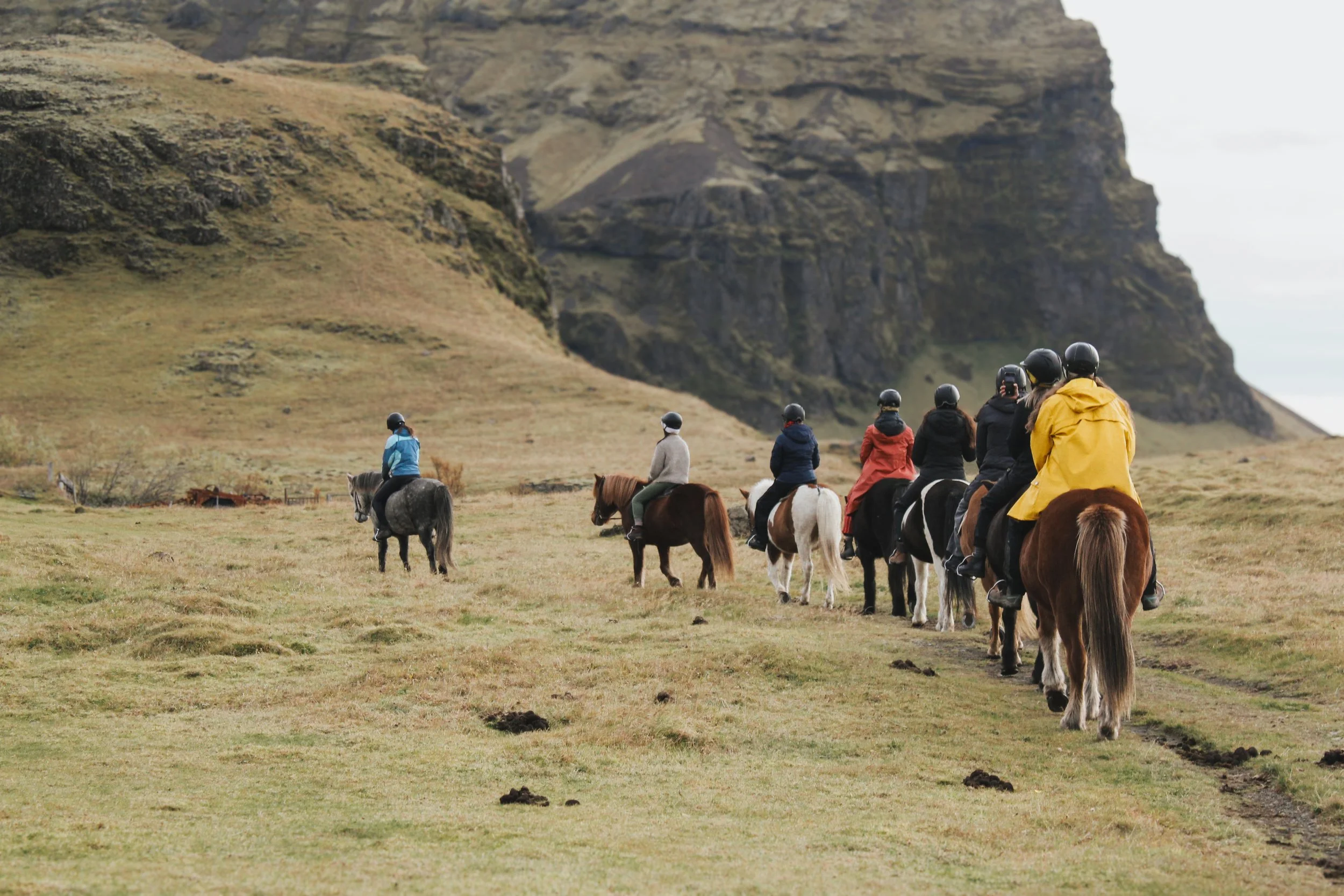 Iceland_Johanna Palmieri_thread caravan skalakot scenic horseback riding.jpg