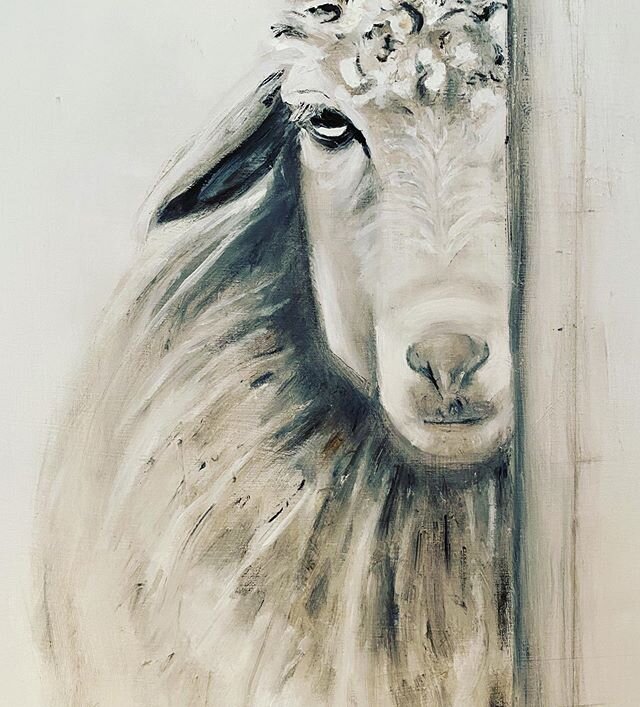 #sheepart #oilpainting #animalart #contemporaryart