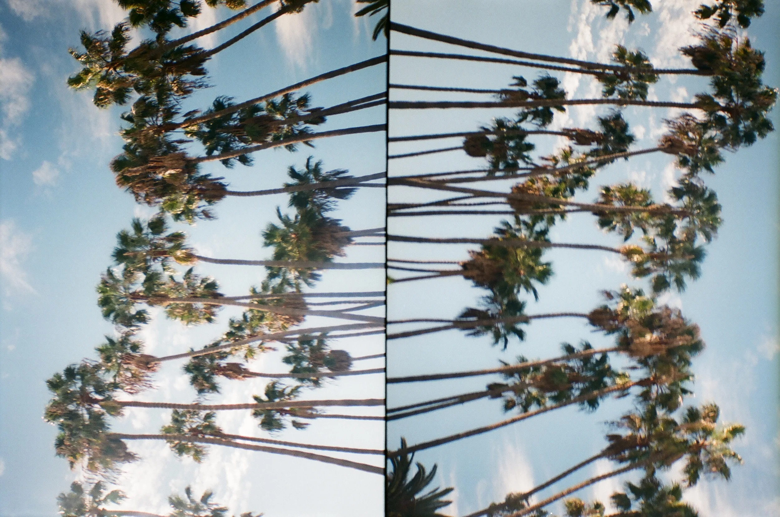 77300020.jpg
