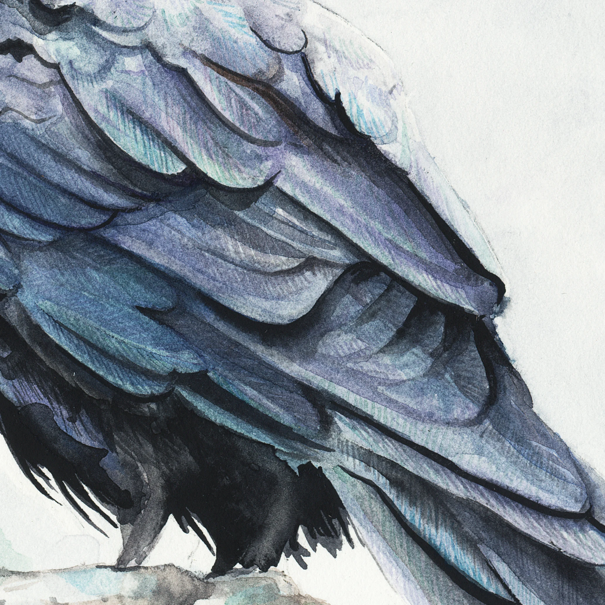 HuginnandMuninn_600dpi_ArtJournal_relativecolor_blackpointcomp.jpg