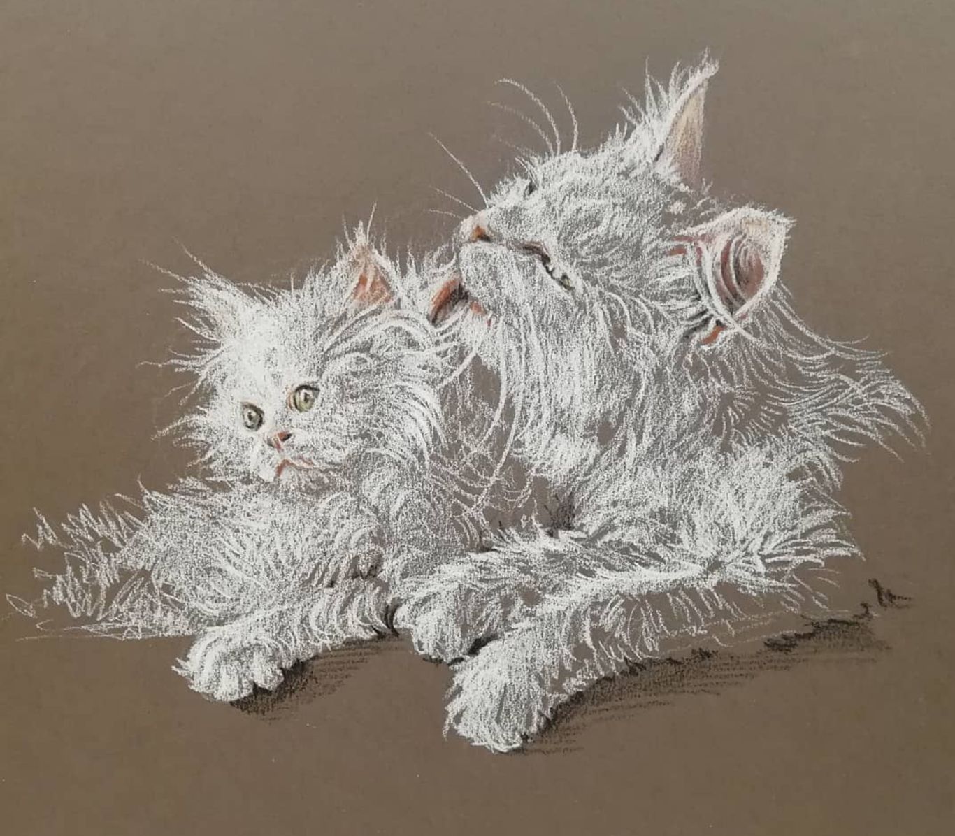 Cat and Kitten