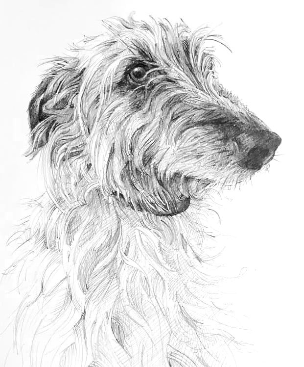 Wally